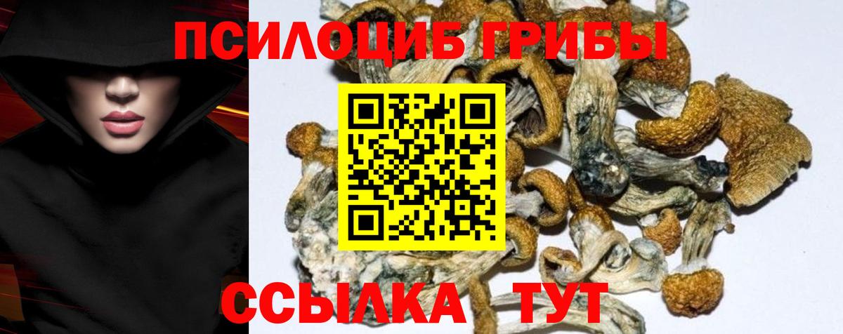 где найти наркотики  Псилоцибиновые грибы мицелий  Вход с VPN  Егорьевск  Галлюциногенные грибы мухоморы 